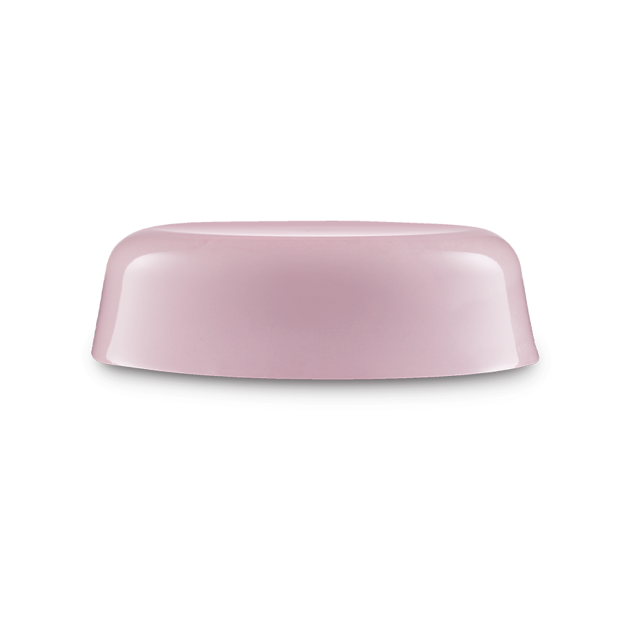 Cranberry - 65g