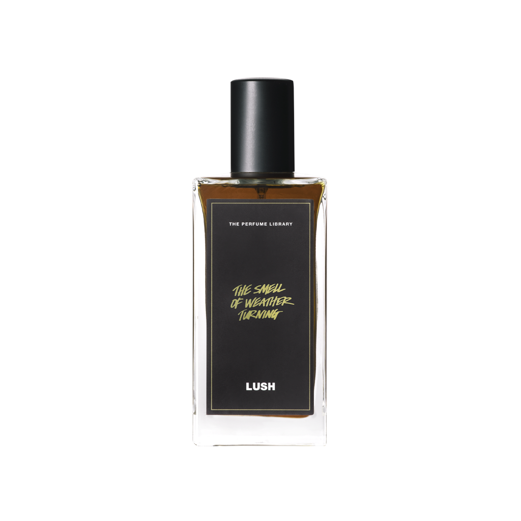 The Smell of Weather Turning - 100ml